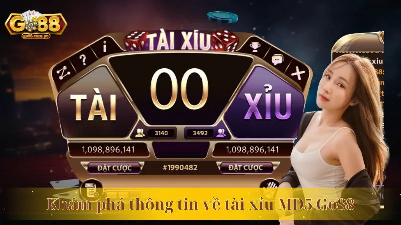 Khám phá thông tin về tài xỉu MD5 Go88